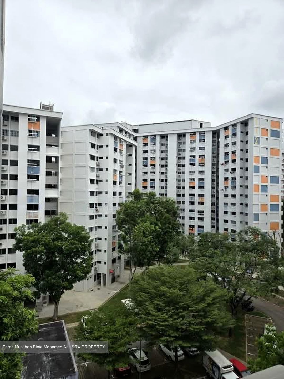 Blk 113 Chong Pang Vale (Yishun), HDB 3 Rooms #551190101